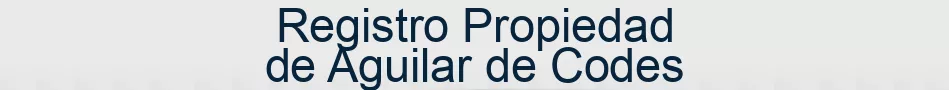 Registro Propiedad de Aguilar de Codes