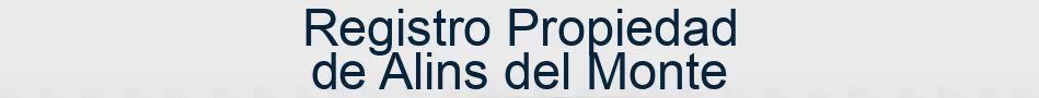 Registro Propiedad de Alins del Monte