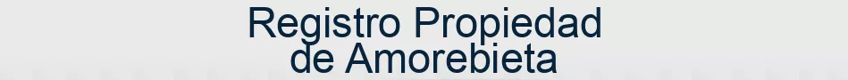 Registro Propiedad de Amorebieta