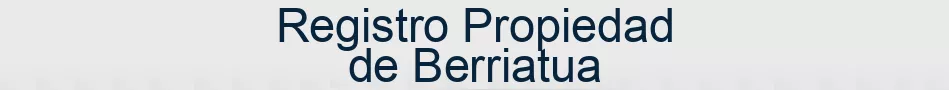 Registro Propiedad de Berriatua