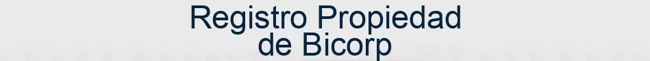 Registro Propiedad de Bicorp