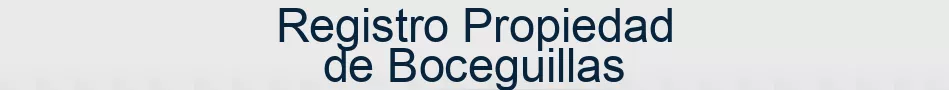 Registro Propiedad de Boceguillas