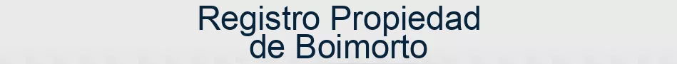 Registro Propiedad de Boimorto