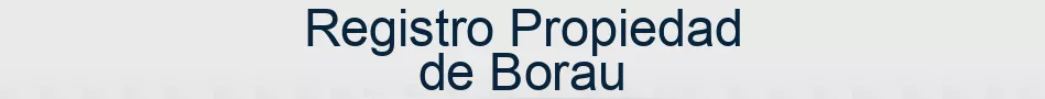 Registro Propiedad de Borau