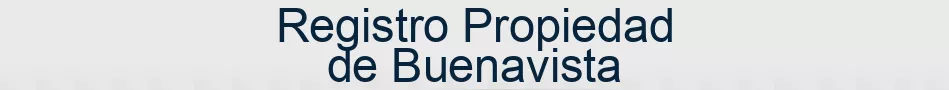 Registro Propiedad de Buenavista