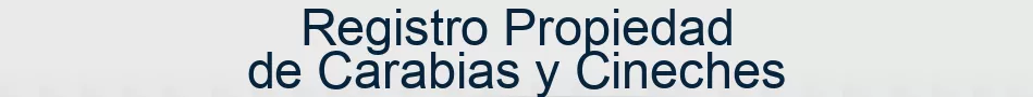 Registro Propiedad de Carabias y Cineches