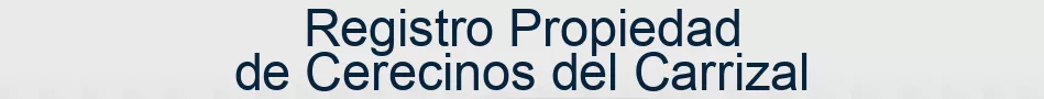 Registro Propiedad de Cerecinos del Carrizal