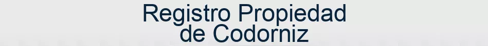 Registro Propiedad de Codorniz