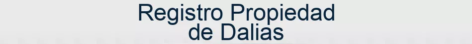 Registro Propiedad de Dalias