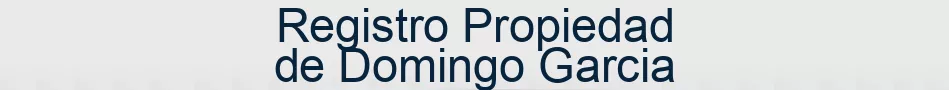 Registro Propiedad de Domingo Garcia