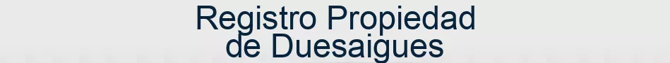 Registro Propiedad de Duesaigues