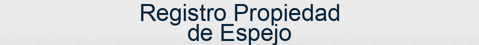 Registro Propiedad de Espejo