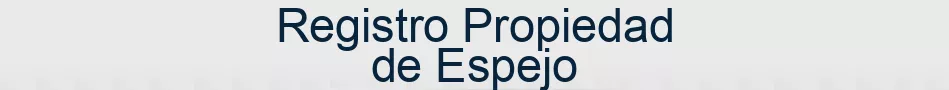 Registro Propiedad de Espejo