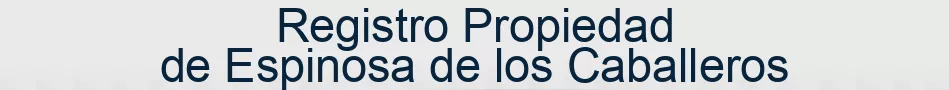 Registro Propiedad de Espinosa de los Caballeros
