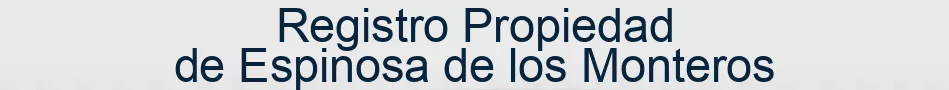 Registro Propiedad de Espinosa de los Monteros