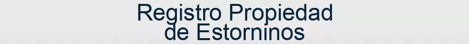 Registro Propiedad de Estorninos