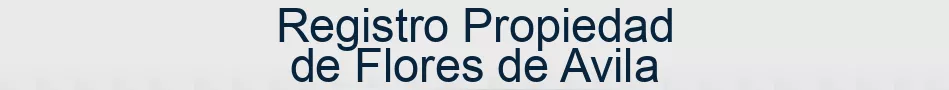 Registro Propiedad de Flores de Avila