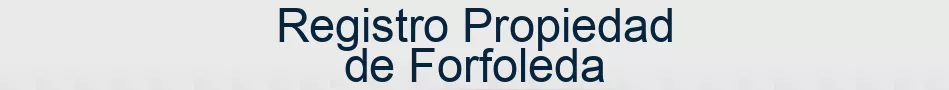 Registro Propiedad de Forfoleda