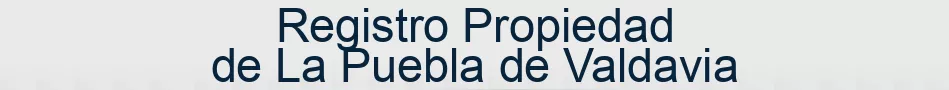 Registro Propiedad de La Puebla de Valdavia