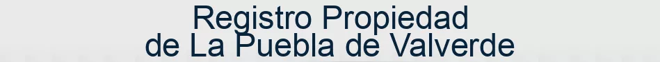 Registro Propiedad de La Puebla de Valverde