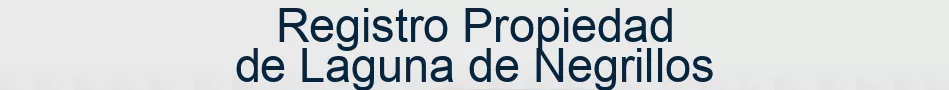 Registro Propiedad de Laguna de Negrillos
