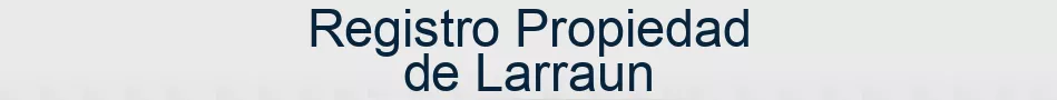 Registro Propiedad de Larraun