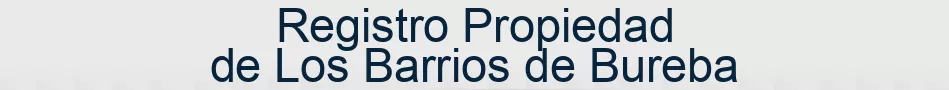 Registro Propiedad de Los Barrios de Bureba