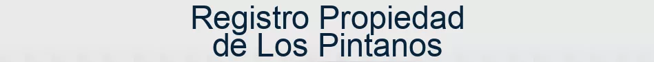 Registro Propiedad de Los Pintanos