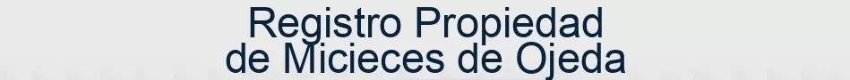 Registro Propiedad de Micieces de Ojeda