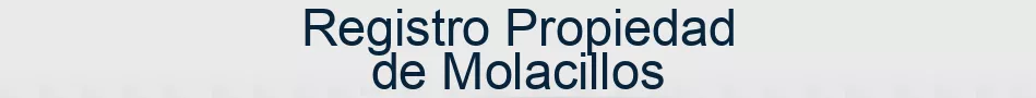 Registro Propiedad de Molacillos