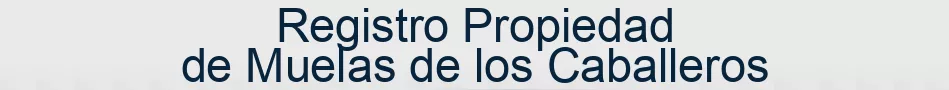 Registro Propiedad de Muelas de los Caballeros