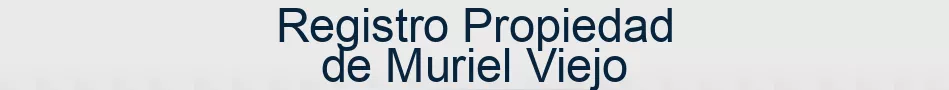 Registro Propiedad de Muriel Viejo