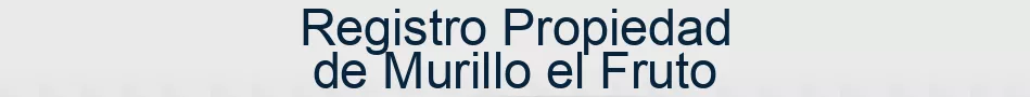 Registro Propiedad de Murillo el Fruto