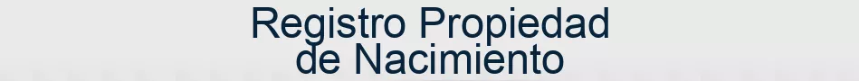 Registro Propiedad de Nacimiento