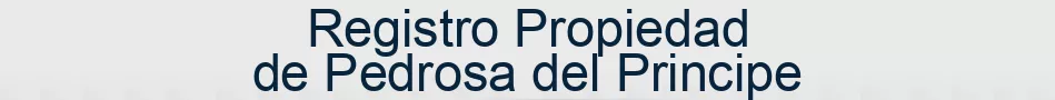Registro Propiedad de Pedrosa del Principe