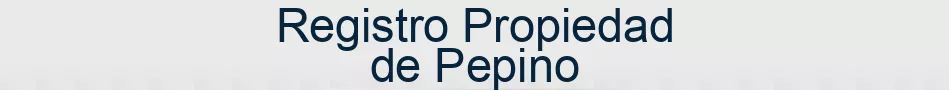 Registro Propiedad de Pepino
