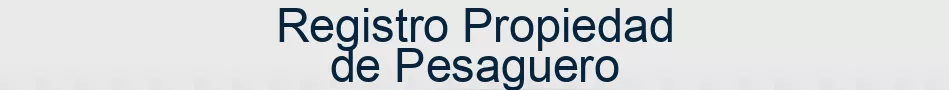 Registro Propiedad de Pesaguero