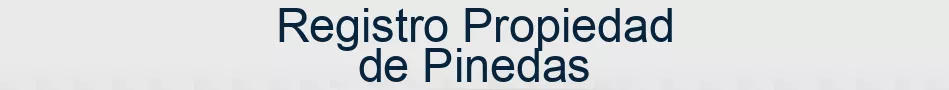Registro Propiedad de Pinedas