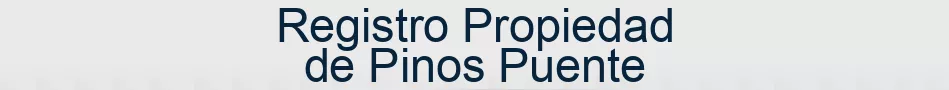 Registro Propiedad de Pinos Puente