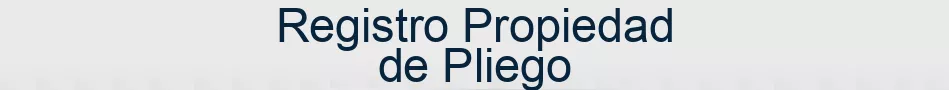 Registro Propiedad de Pliego