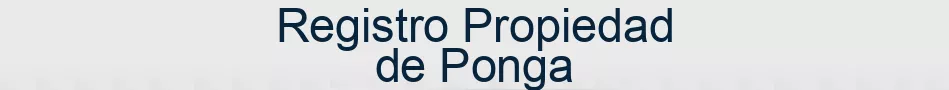Registro Propiedad de Ponga