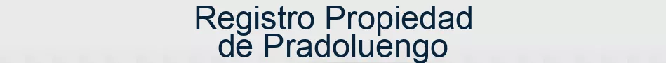 Registro Propiedad de Pradoluengo