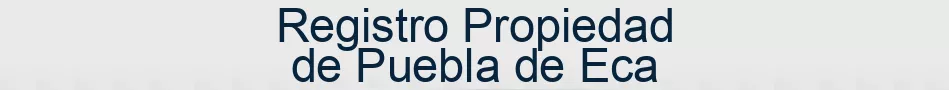 Registro Propiedad de Puebla de Eca