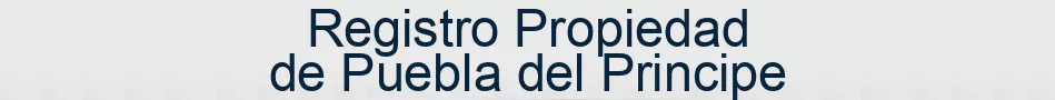 Registro Propiedad de Puebla del Principe