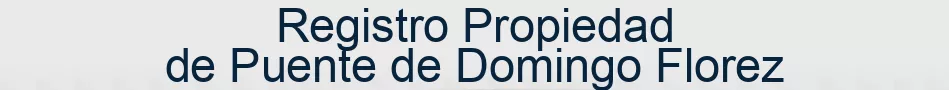 Registro Propiedad de Puente de Domingo Florez