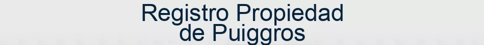 Registro Propiedad de Puiggros
