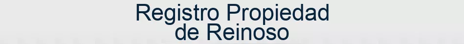 Registro Propiedad de Reinoso