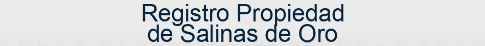 Registro Propiedad de Salinas de Oro