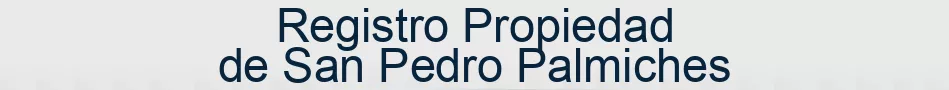 Registro Propiedad de San Pedro Palmiches