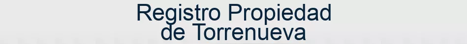 Registro Propiedad de Torrenueva